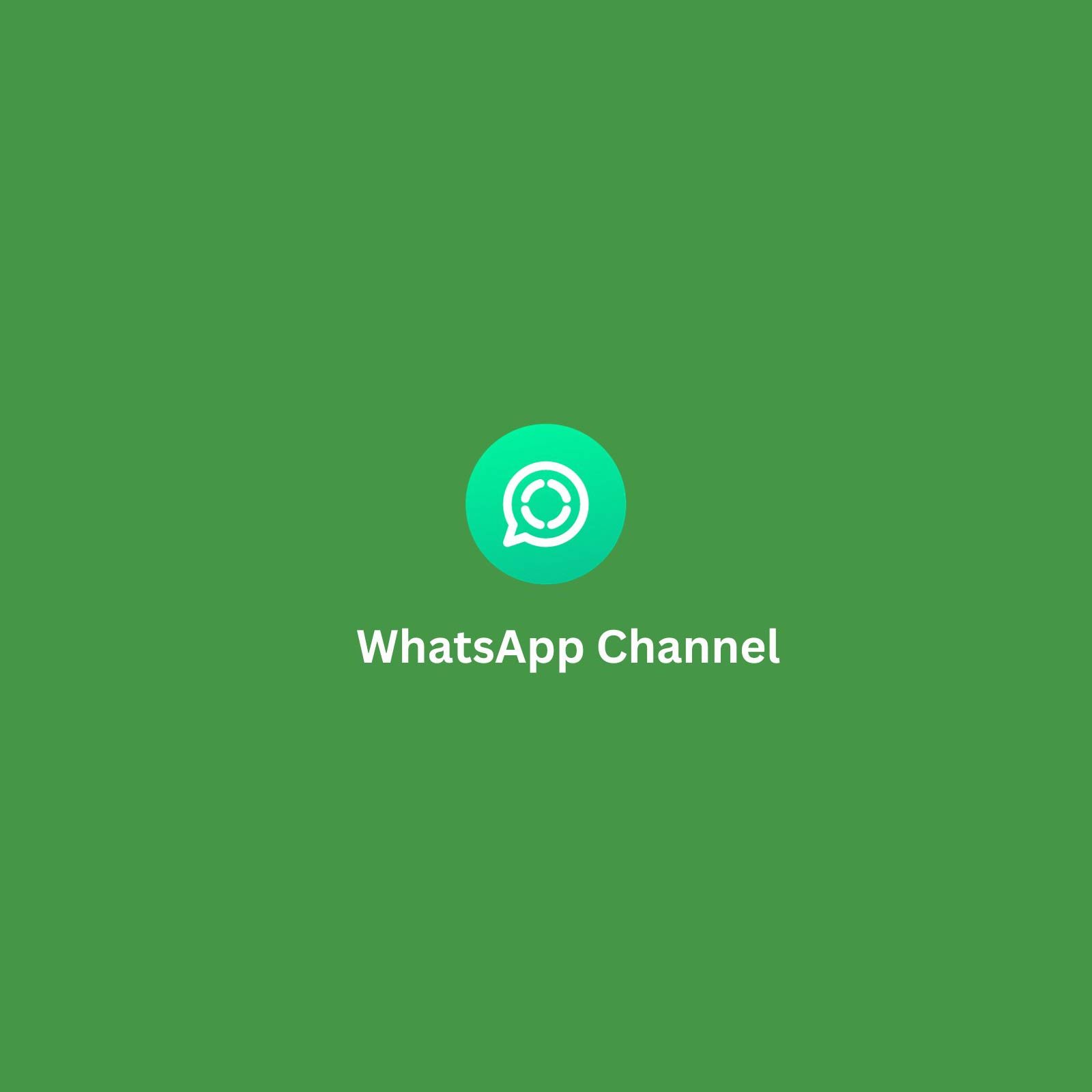 seofox whatsapp channel 01
